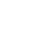 White MG logo, badge only