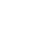 White Škoda logo