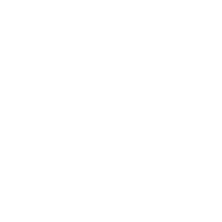White Volkswagen Logo