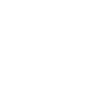 White Geely logo