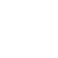 White Nissan logo