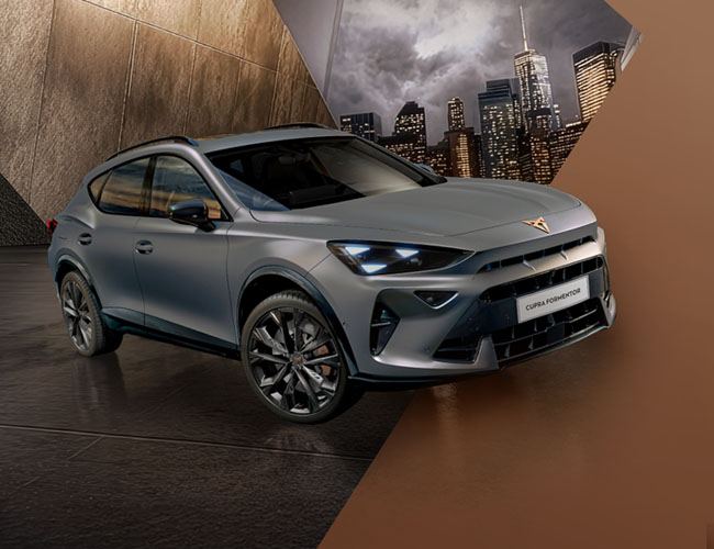 Grey Formentor Pantera editions